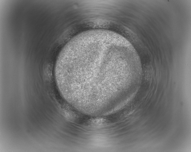 X0000074300695200609222335