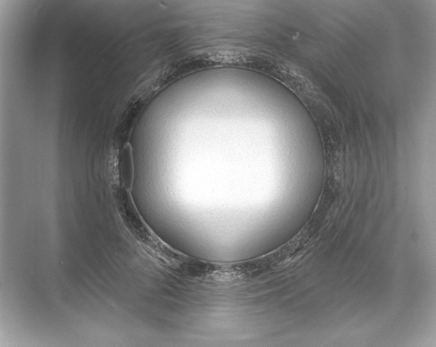 X0000074300696200609222335