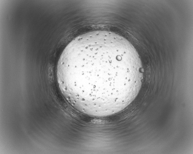 X0000074300699200609222335