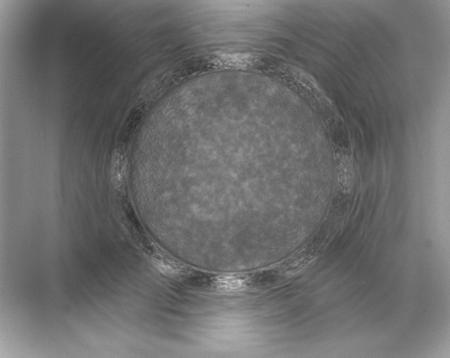 X0000074300701200609222335