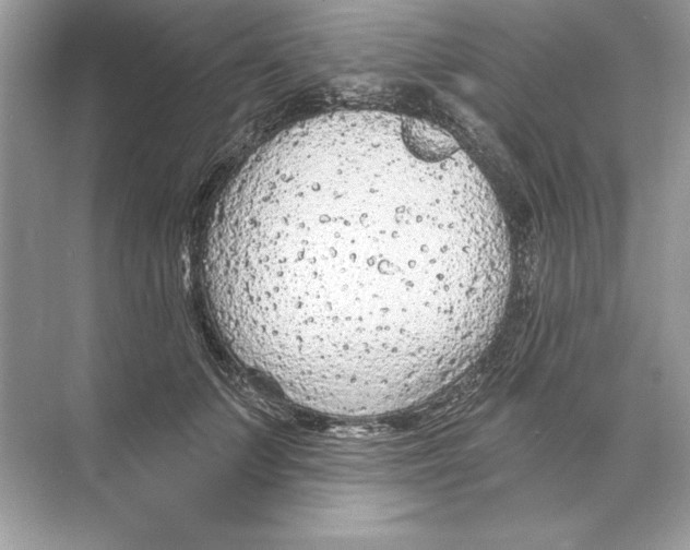 X0000074300703200609222335