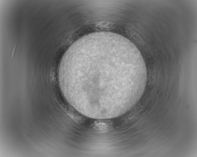 X0000074300706200609222335