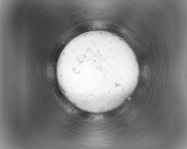 X0000074300715200609222335