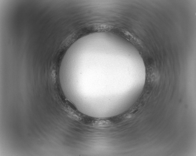 X0000074300716200609222335