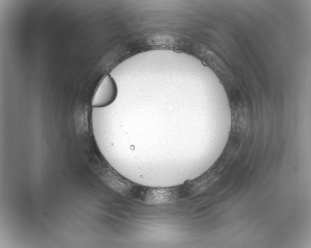 X0000074300717200609222335