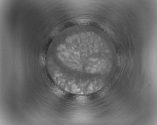 X0000074300718200609222335