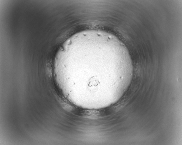 X0000074300719200609222335