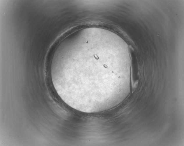 X0000074300722200609222334