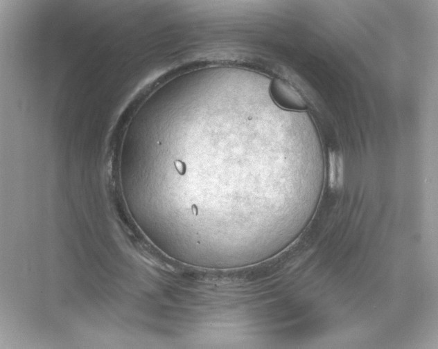 X0000074300723200609222334