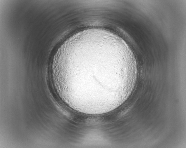 X0000074300725200609222334