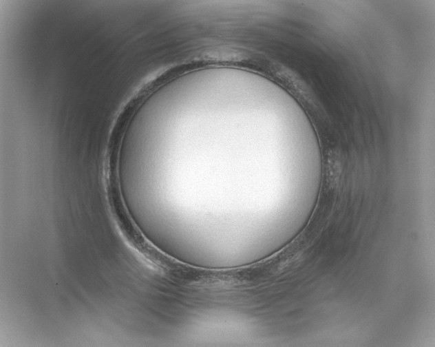 X0000074300726200609222334