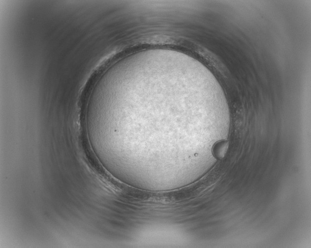 X0000074300727200609222334