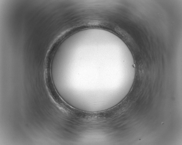 X0000074300728200609222334