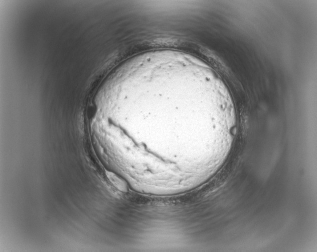 X0000074300729200609222334