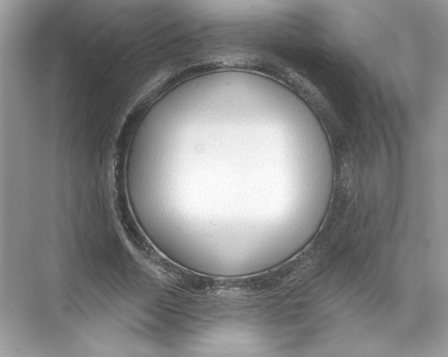 X0000074300730200609222334