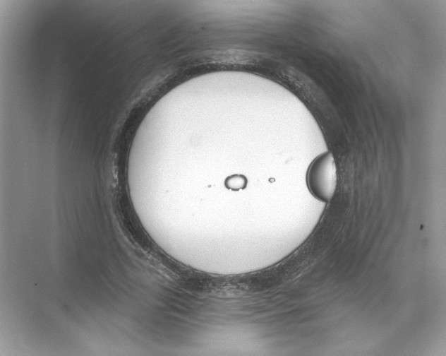 X0000074300731200609222334