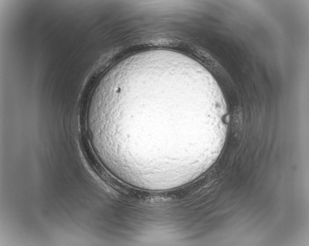 X0000074300734200609222334