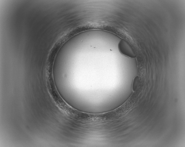 X0000074300736200609222334