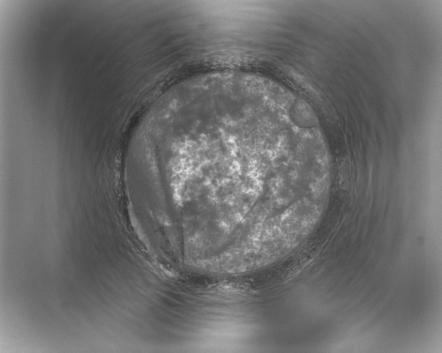 X0000074300737200609222334