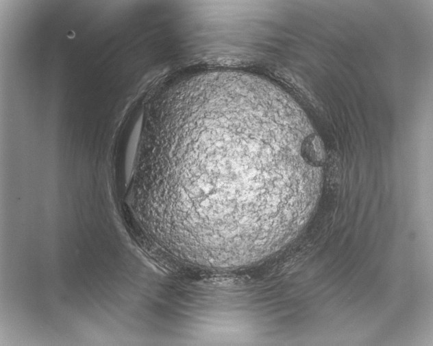 X0000074300738200609222334