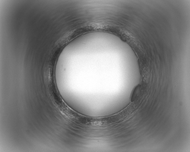 X0000074300740200609222334