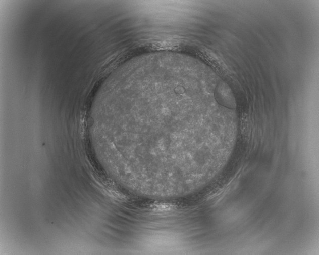 X0000074300741200609222334