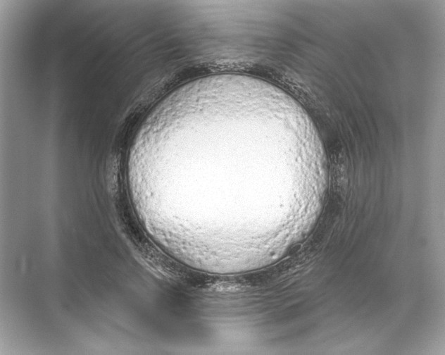 X0000074300742200609222334