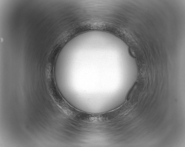 X0000074300744200609222334