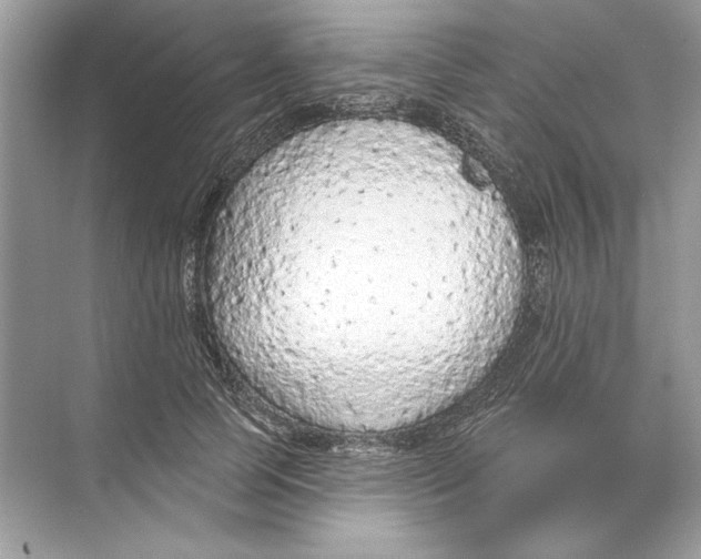 X0000074300745200609222334