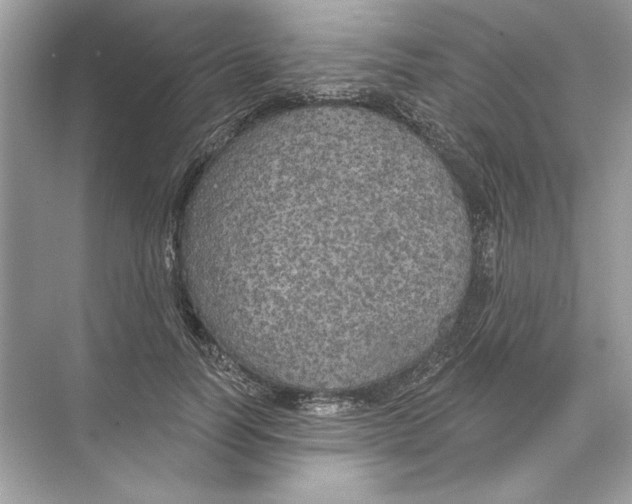 X0000074300746200609222334