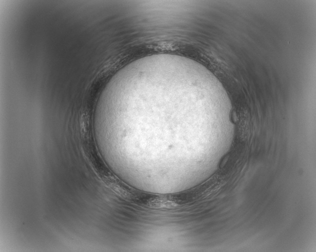 X0000074300747200609222334