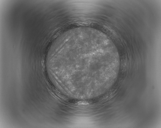 X0000074300749200609222334