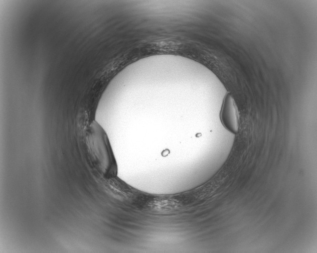 X0000074300752200609222334