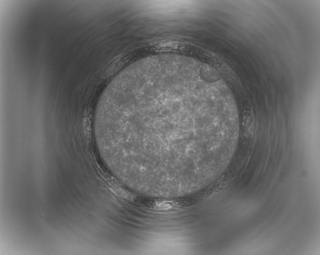 X0000074300753200609222334