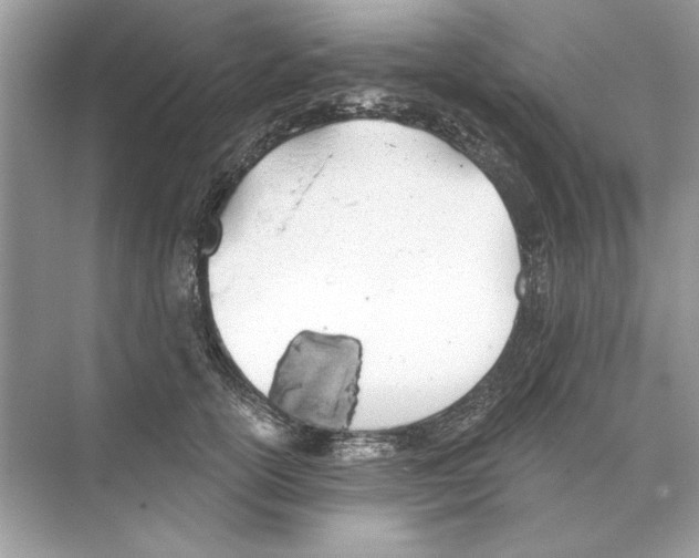 X0000074300754200609222334