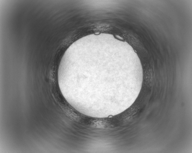 X0000074300755200609222334