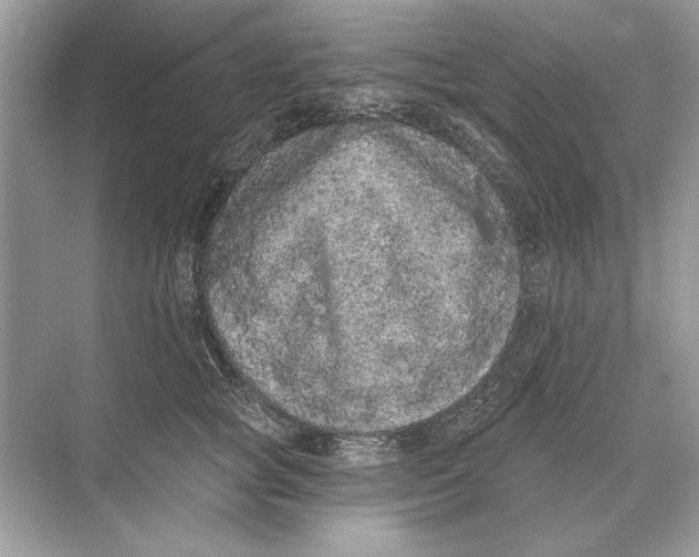 X0000074300757200609222334