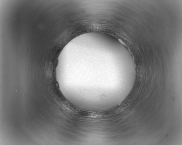 X0000074300760200609222335