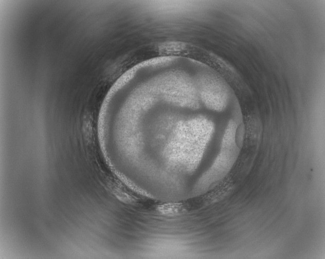 X0000074300761200609222335