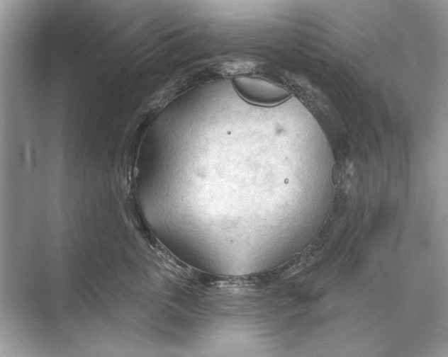 X0000074300763200609222335