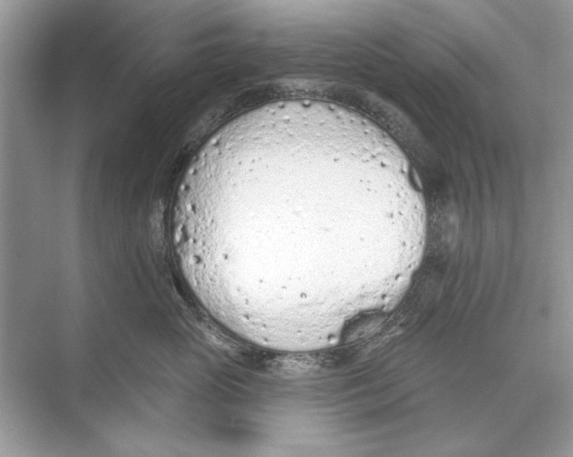 X0000074300765200609222335