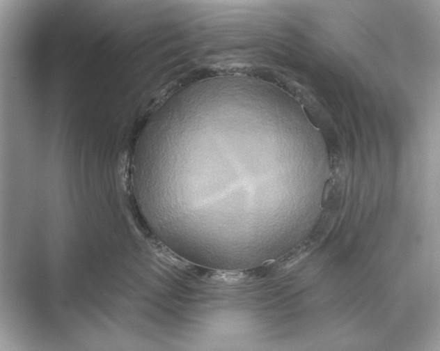 X0000074300767200609222335