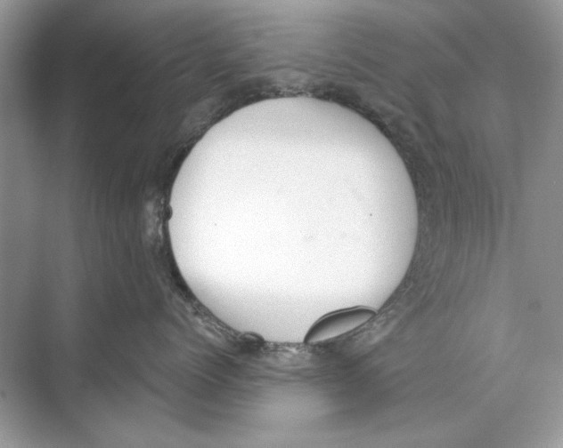 X0000074300768200609222335