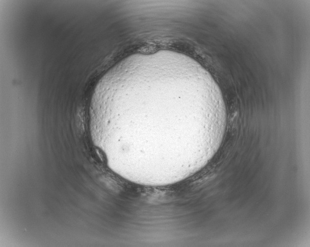 X0000074300772200609222334