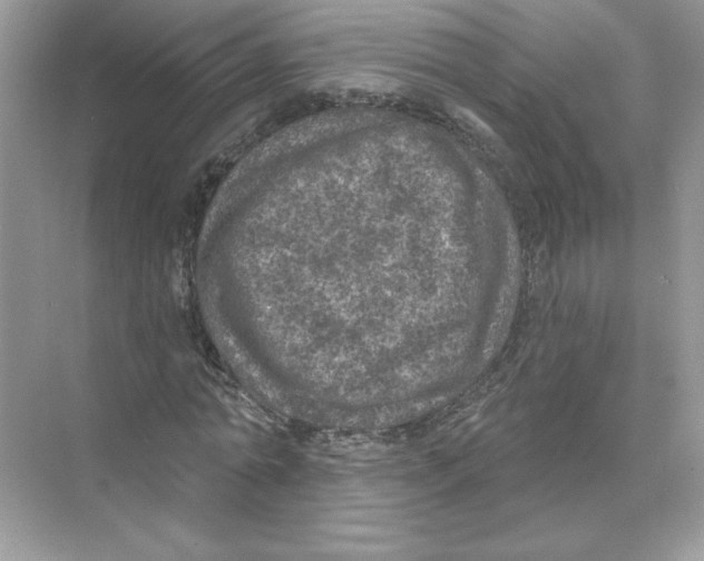 X0000074300774200609222334