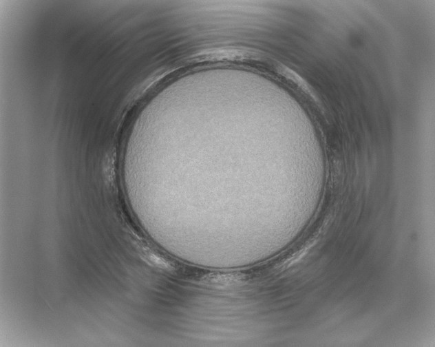 X0000074300778200609222334