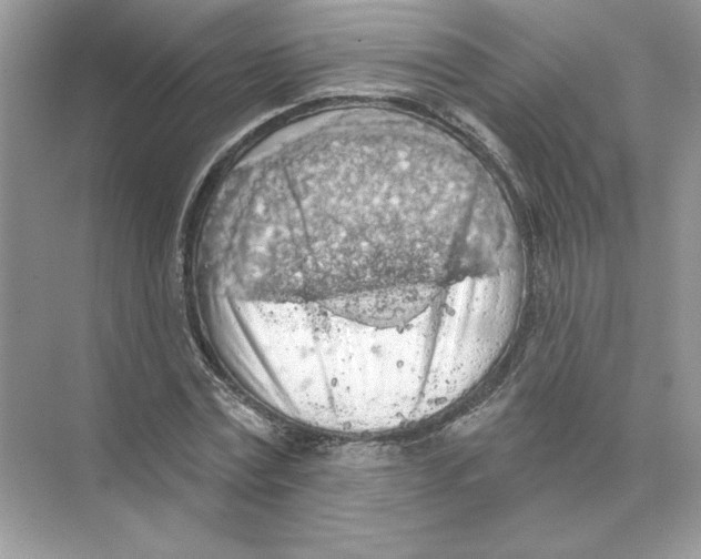 X0000074300779200609222334