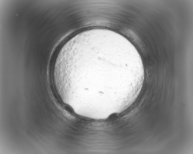 X0000074300780200609222334