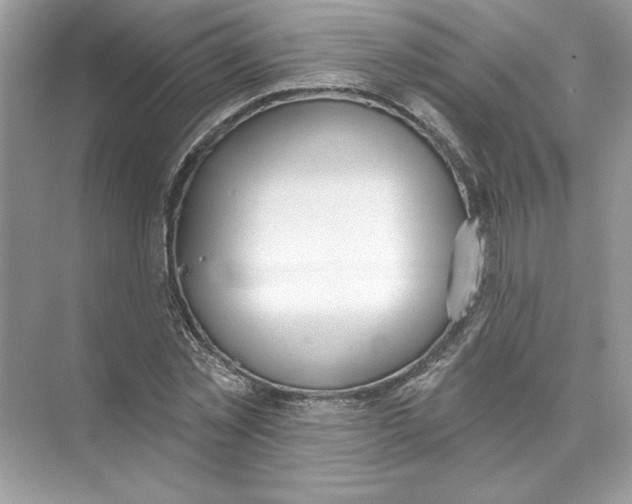 X0000074300781200609222334