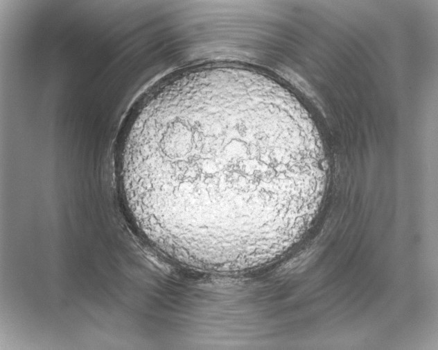 X0000074300782200609222334